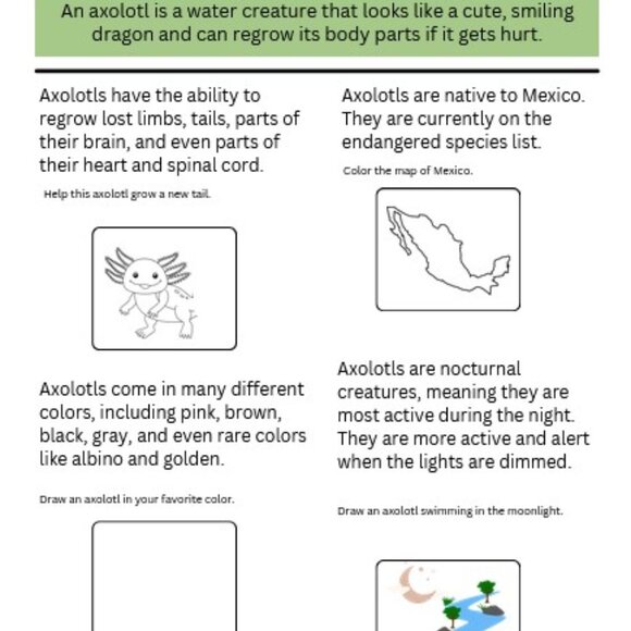 The Most Annoying Pets, Ever! Activity Book - Picture 6 of 6